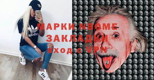 шишки Новозыбков